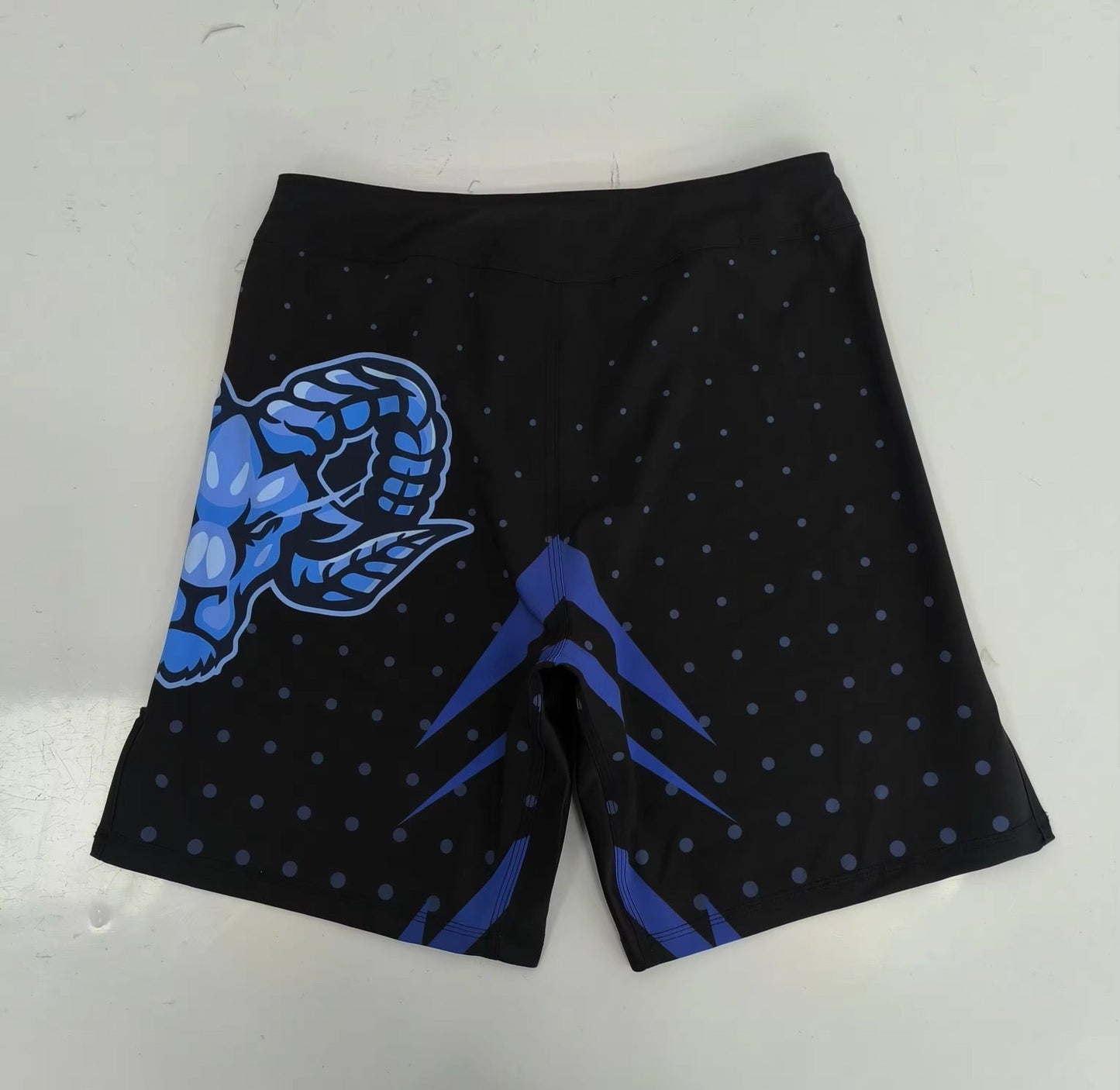 RAMM MMA Fight Short